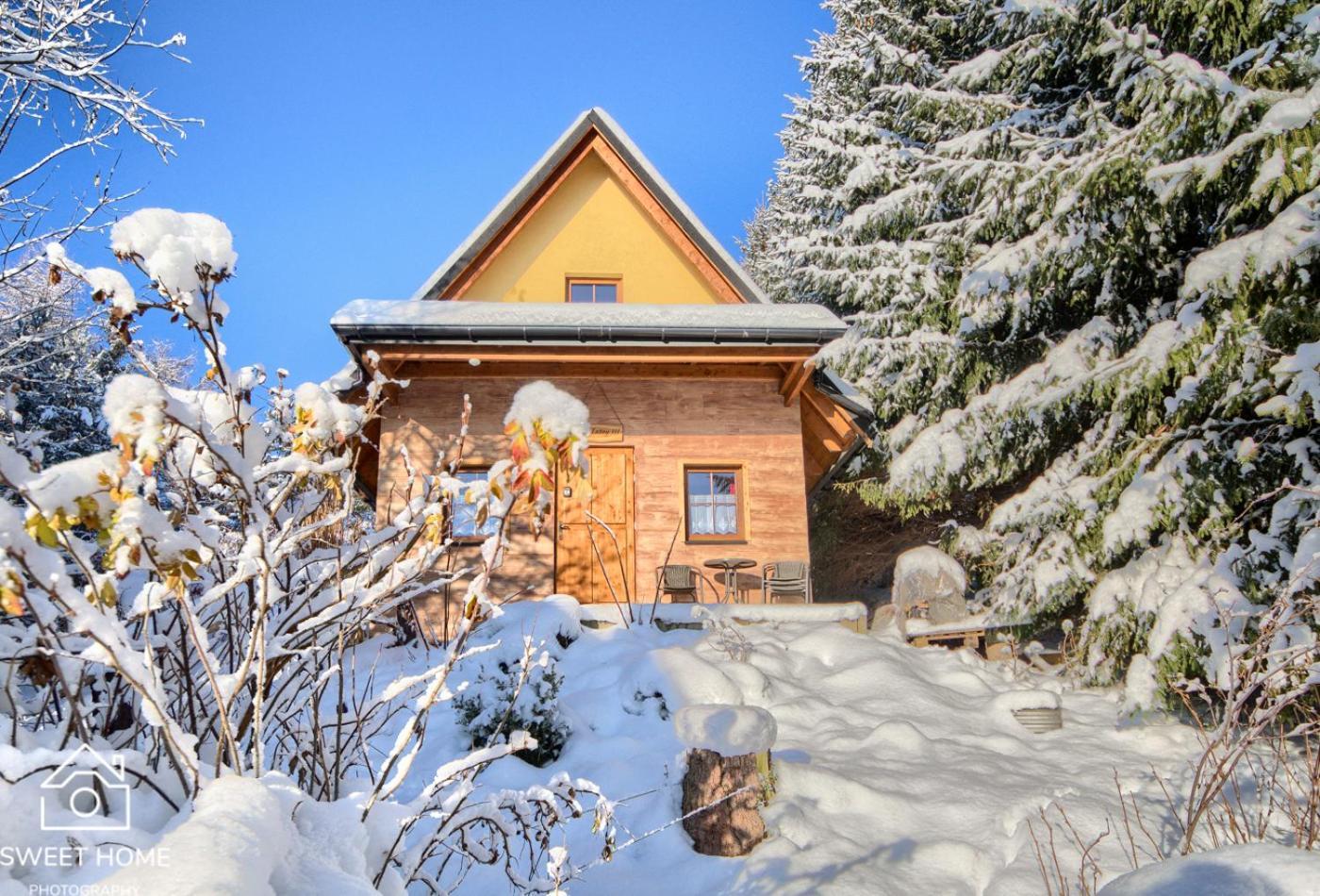 Willa Oaza Tatry III Zakopane Zewnętrze zdjęcie