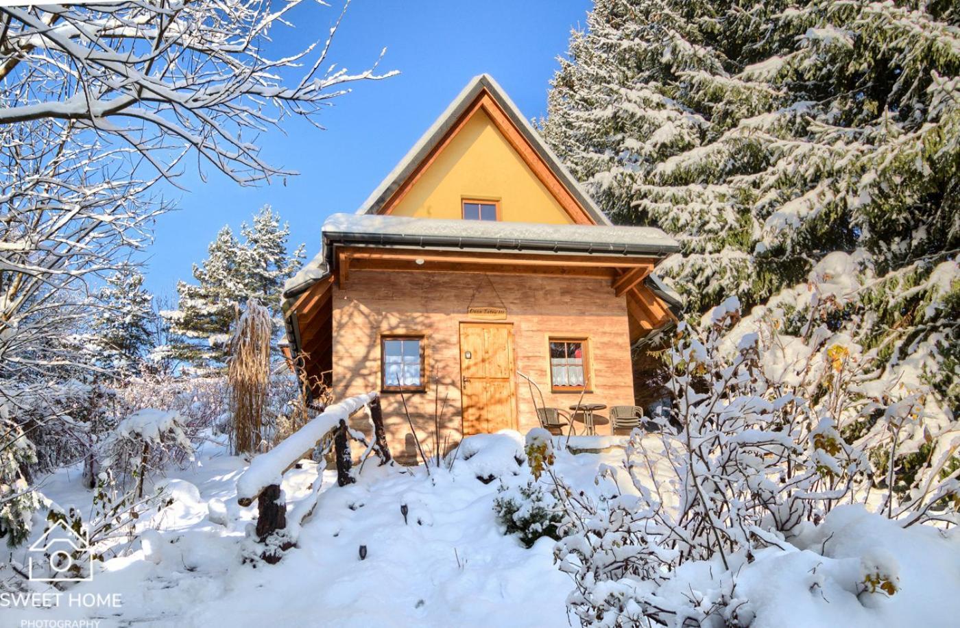 Willa Oaza Tatry III Zakopane Zewnętrze zdjęcie